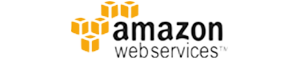 amazone WS logo